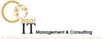 Cesar IT Management logo