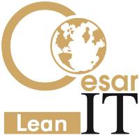 Click this button to download the Lean IT Workshop Overview